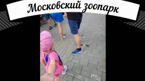 Москва. Первый день. Московский зоопарк