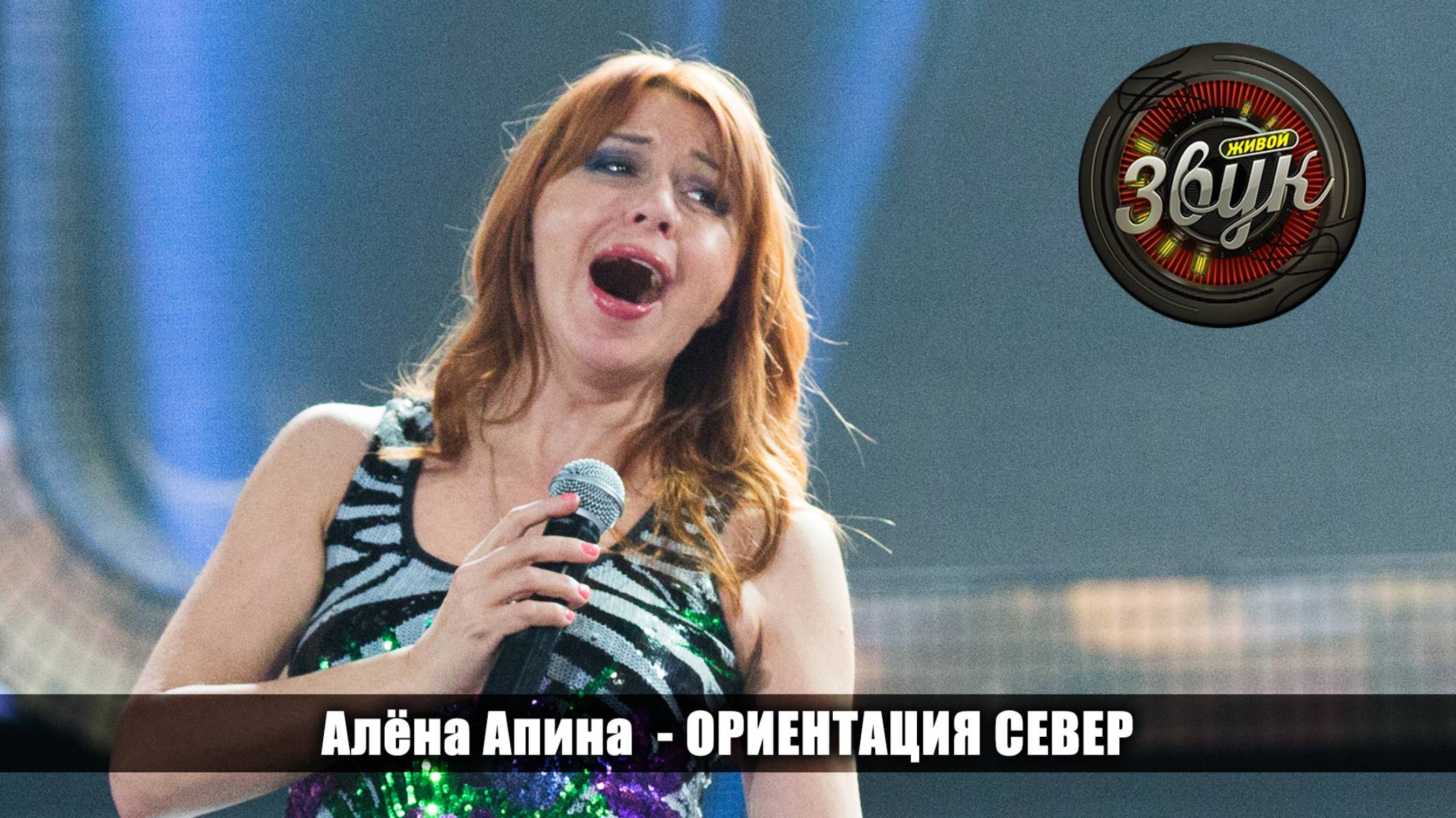 Алёна Апина - "Ориентация север"  (Живой звук)