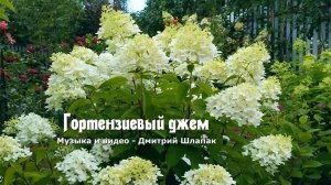 Гортензиевый джем