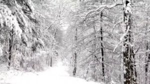 Enya. Boadicea, 'Victorious Woman'. «Победоносная женщина» - 🔥... слушать в наушниках 🎧