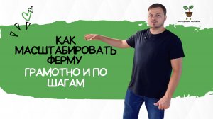 Как масштабировать ферму микрозелени?