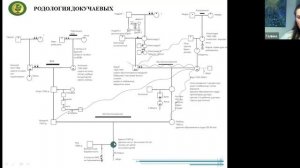 Прямой эфир на тему: " Невидимые Нити взаимодействие с нерожденными" от 13.08.2025г.