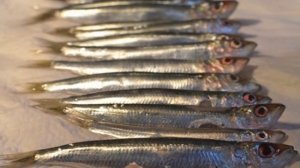 Жареная морская рыба