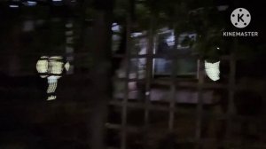 Влог Ростов. Ночная прогулка около зоопарка