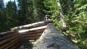 УСТАЛ КАК ПАПА КАРЛО. СТРОЮ ИЗБУ СИБИРСКОГО ОТШЕЛЬНИКА КАК В 90-хх. ДВЕРНОЙ ПРОЁМ,НОВАЯ ДВЕРЬ.