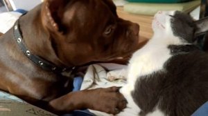 это любофффф