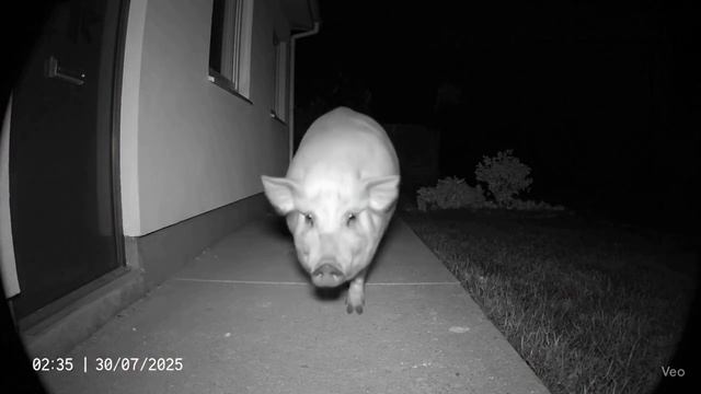 Как такое может быть? смотреть онлайн