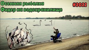 Осенняя рыбалка на водохранилище. Ловля подлещика на фидер