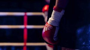 Два боксера умерли во время одного турнира в Японии