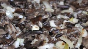 Грибная запеканка в духовке