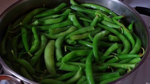 Жареная стручковая фасоль