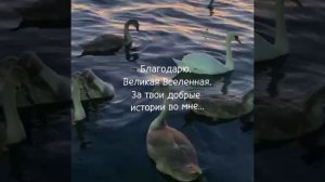 Красота мгновений ♥️