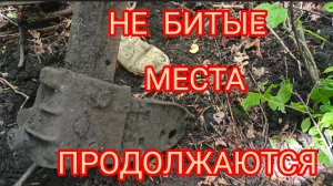 МЕТАЛЛОКОП И СНОВА НЕ БИТЫЕ МЕСТА 🔥