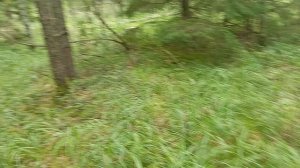 это канал ДИМА АЛКАШ ТВ❓❓❓