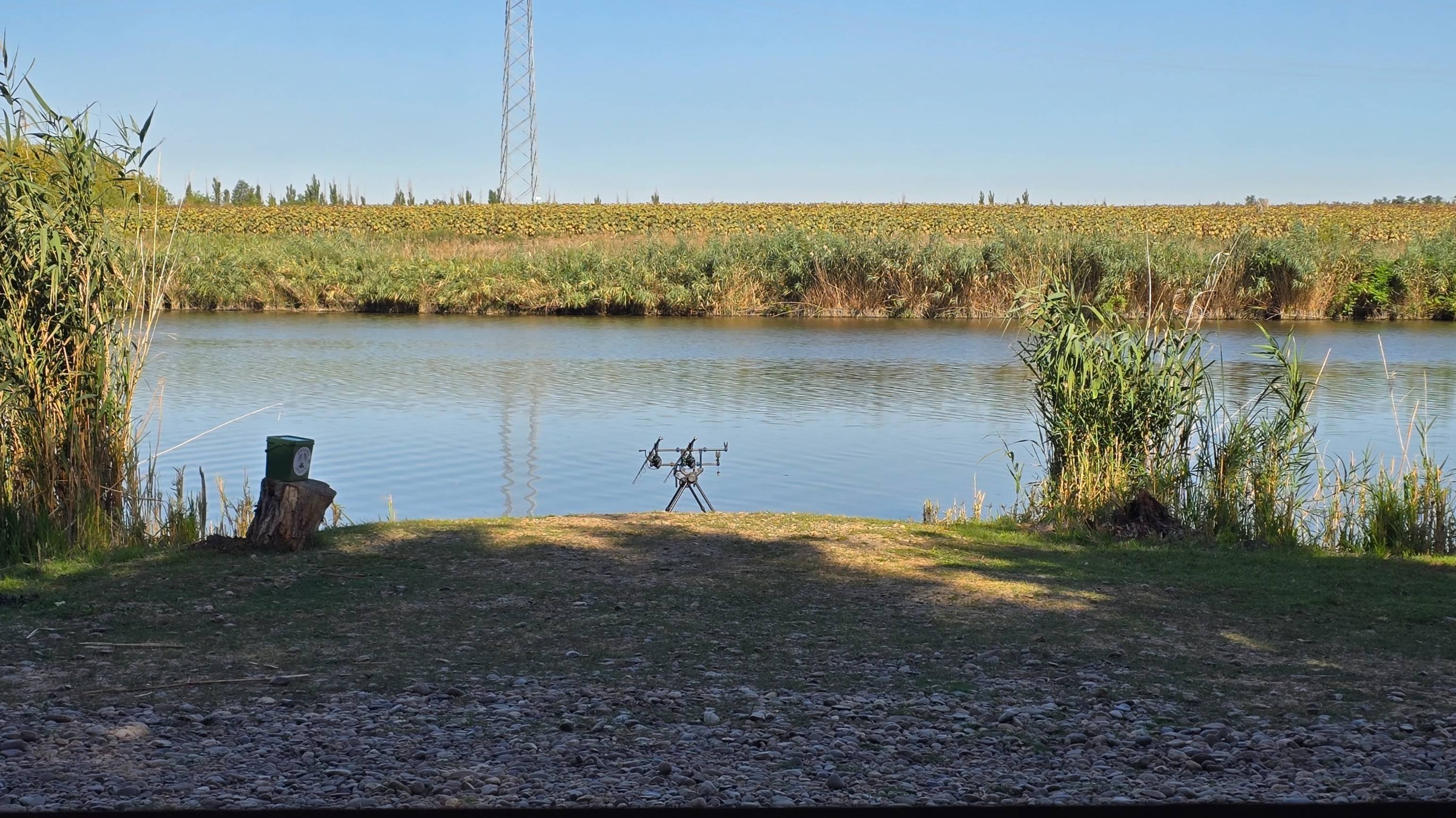 Рыба здесь дурная. Рыбалка на ФАЗЕНДЕ РЫБАКА