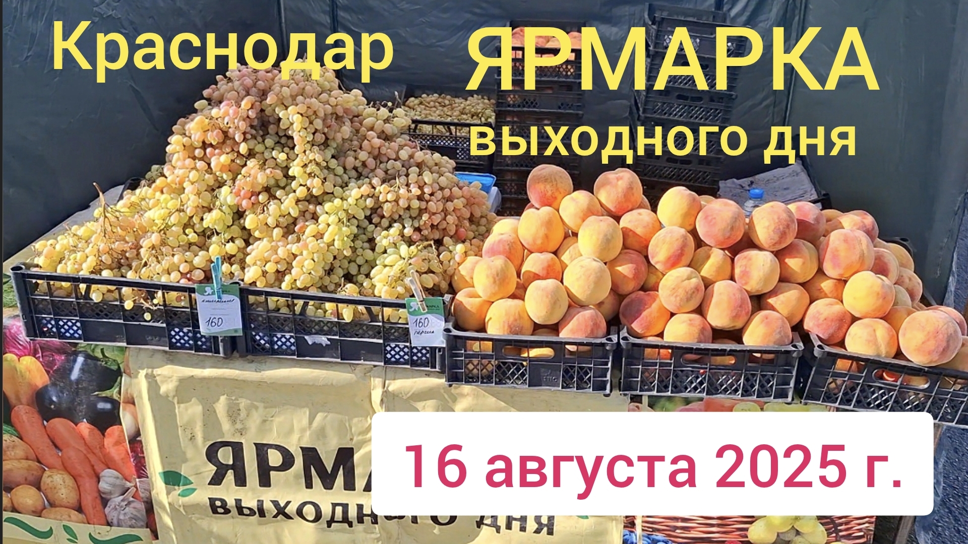 Краснодар - Ярмарка выходного дня на ул. Одесская - цены на продукты - 16 августа 2025 г.