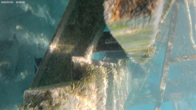 Красное море