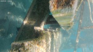 Красное море