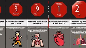 Что происходит с организмом, когда БРОСАЕШЬ КУРИТЬ? | Реакция тела на отказ от никотина!