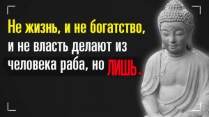 МУДРЕЙШИЕ ЦИТАТЫ ВЕЛИЧАЙШИХ ЛЮДЕЙ. Сборник Цитат с Большим Смыслом.