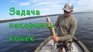 ЩУКА на приманки от ПОДПИСЧИКОВ + ответы на комментарии по лодке.