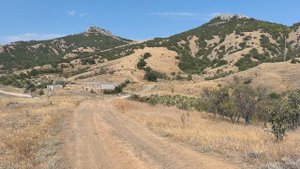 VID_20250807_100604.mp4