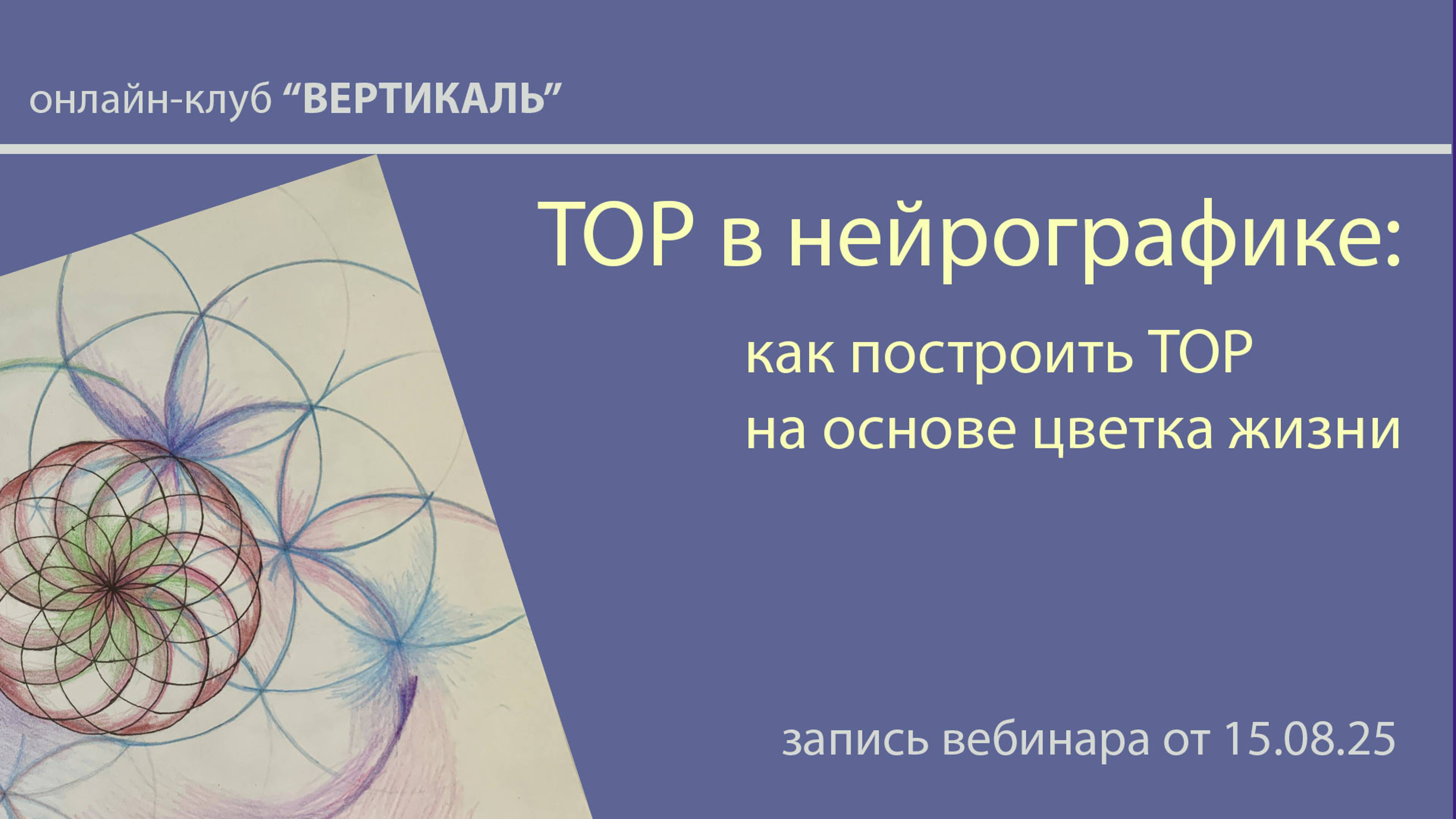 Цветок жизни и тор