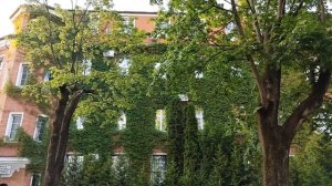 Калининград: озеро Нижнее, армянский ресторан 'Менуа', прогулка по городу