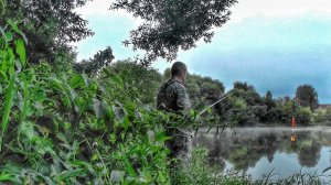 ДУШЕВНАЯ РЫБАЛКА У ДОМА НА ПОПЛАВОК В НОВОМ МЕСТЕ! ПОДЛЕЩИК АТАКУЕТ!!!🎣