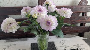 Наши дачи которые мы продали 28 лет назад.