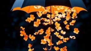 Доброго вечера и уютной ночи бесплатно