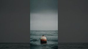 Прости меня  песня на стихи А.Перминова