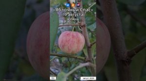 Югана - Яблочный Спас