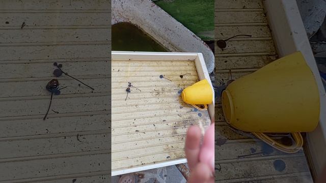 1000001501.mp4 смотреть онлайн