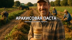 Переработка арахиса: как производят арахисовую пасту 🍯