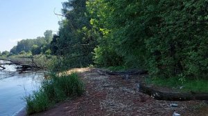 Павлово на Неве. утро 25 июля 2025