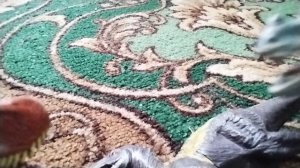 СПИНОЗАВР ПРОТИВ ОРНИТОЛЕСТЕСА