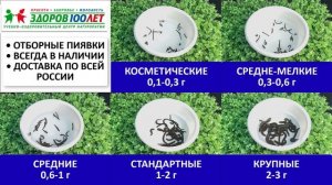 Отборные пиявки купить с доставкой