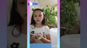 как мыть хомяка