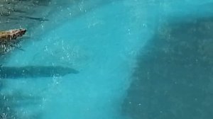 гейзерово озеро