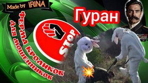 Эротический маршрут для шахраев. Автор Гуран.