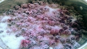 Черничное варенье пятиминутка