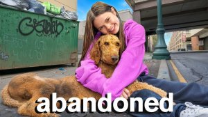 I Rescued a LOST DOG Will I Keep Him?