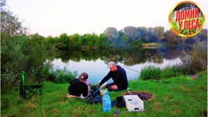 ДОМИК У ЛЕСА НА РЫБАЛКЕ