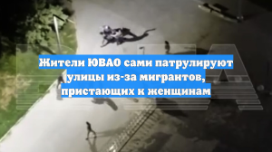 Жители ЮВАО сами патрулируют улицы из-за мигрантов, пристающих к женщинам