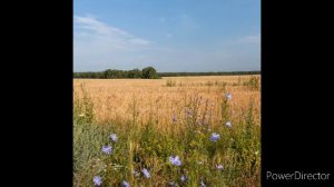В ожидании лета