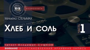 Хлеб и соль - ЧАСТЬ 1 - Михайло СТЕЛЬМАХ (читает Владимир СУШКОВ) | аудиокнига слушать бесплатно