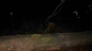 ЗАГОВОР НА БУРЕЛОМ... ОТ НЕДРУГОВ... ДЛЯ ВСЕХ. ВЕДЬМИНА ИЗБА. ️ ИНГА ХОСРОЕВА.