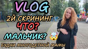У нас будет мальчик? 🤯💙 2й скрининг.... Или как ошиблись на гендерпати 🙈