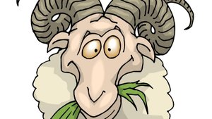 Докажи барану, что он баран)))